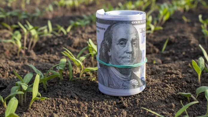 estiman-que-la-rebaja-de-retenciones-al-campo-podria-tener-un-costo-fiscal-casi-nulo