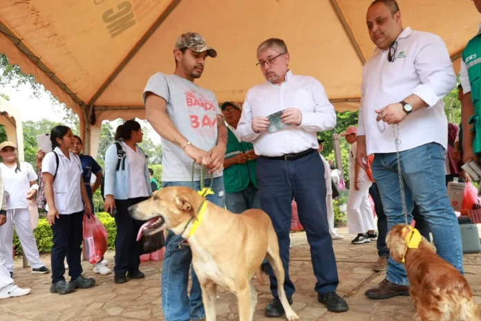 campana-antirrabica-inmuniza-cerca-de-3.000-animales-en-concepcion