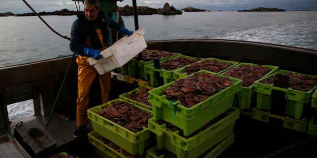 derechos-de-pesca:-la-union-europea-y-la-union-europea-se-acordaran-por-un-valor-de-1,2-millones-de-euros-en-2026