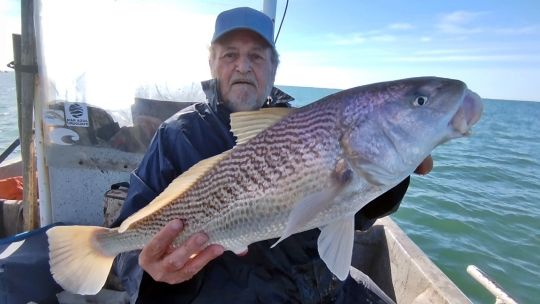 dorados,-bogas-y-corvinas,-tres-grandes-atracciones-para-los-pescadores