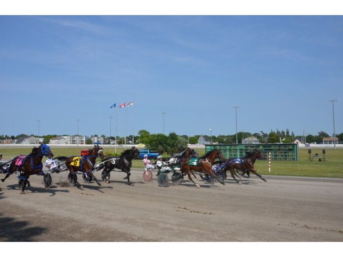 mla-says-pei.-harness-racing-industry-caught-off-guard-by-purse-rule-change