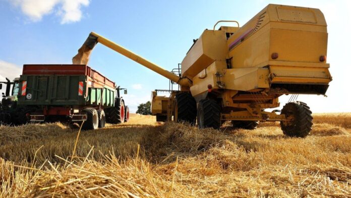 argentina-realizo-el-primer-envio-comercial-de-trigo-a-china