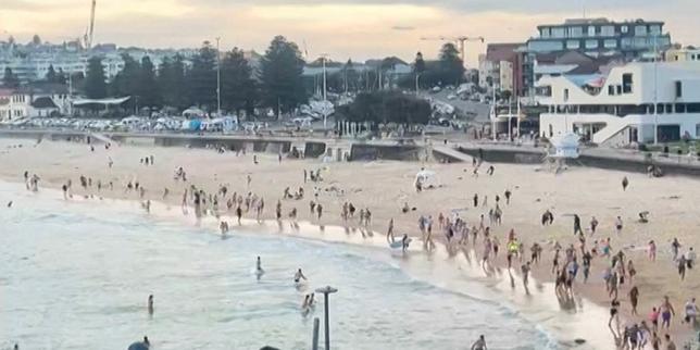 video.-les-images-du-passant-qui-a-desarme-un-des-tireurs-de-la-fusillade-en-australia