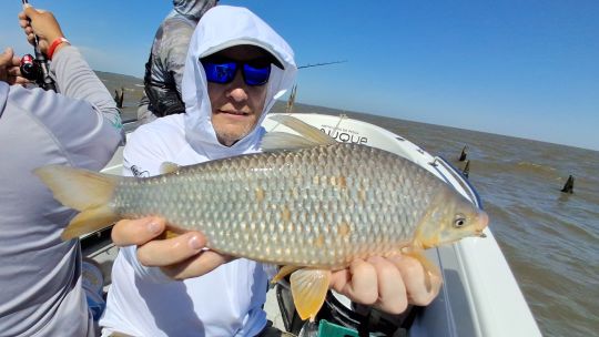 festival-de-bogas-en-los-malecones-de-berisso