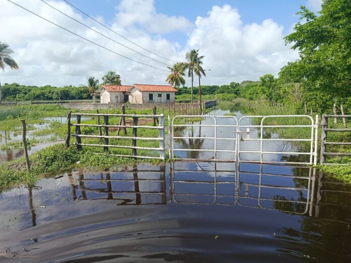 campo-caribe:-vecinos-denuncian-desbordes-y-deterioro-del-rio-yaracuy