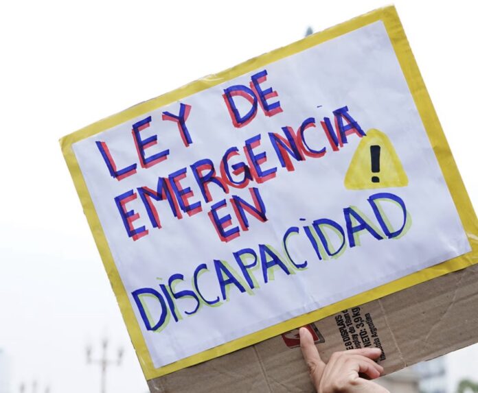 el-gobierno-apelo-el-fallo-que-lo-obligaba-a-aplicar-la-ley-de-emergencia-en-discapacidad