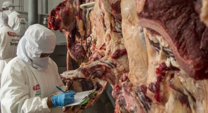 decreto-de-alza-de-combustibles-exime-exportadores-certificar-un-“precio-justo”-en-alimentos