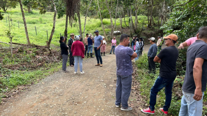 la-polemica-venta-de-lotes-en-un-terreno-de-proteccion-forestal-en-la-cumbre,-valle:-‘no-es-posible-construir-vivienda’,-dice-documento-de-alcaldia