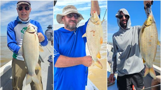bogas-en-los-malecones,-el-anticipo-de-una-temporada-prometedora