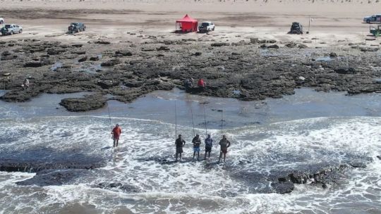 un-verano-a-pura-cana:-torneos-millonarios-y-tradicion-pesquera-en-la-costa-bonaerense