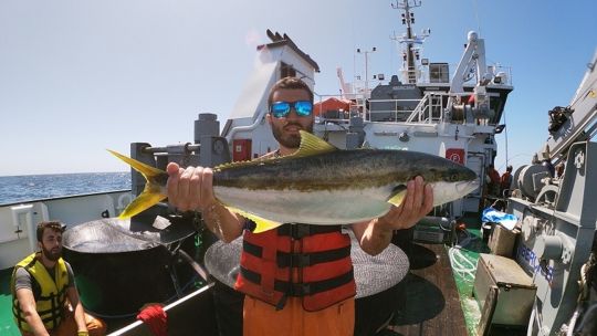 ciencia-sobre-las-olas:-por-primera-vez-analizaran-a-fondo-al-pez-limon-en-el-mar-argentino