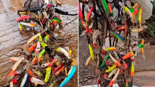 pesca-con-sorpresa:-recuperan-un-arbol-repleto-de-senuelos-perdidos