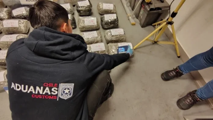 aduana-de-chile-descubre-110-kilos-de-marihuana-ocultos-en-soja