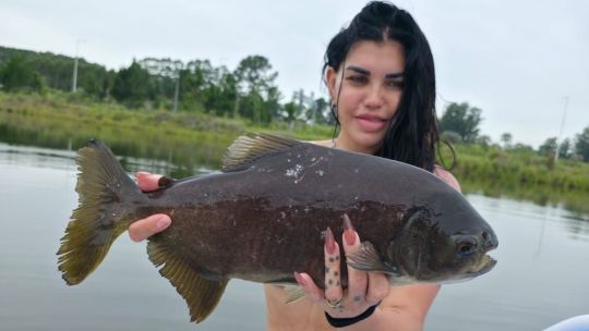 pesca-alternativa-en-concordia:-pacues-en-un-lago-ideal-para-ir-con-chicos