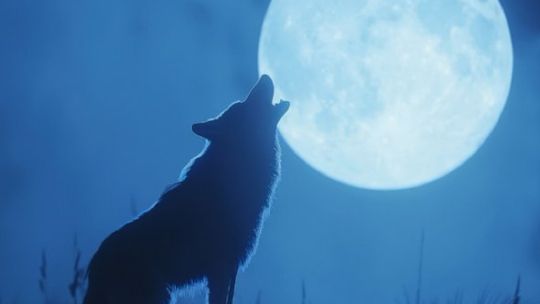 ¿cuando-y-como-ver-la-luna-del-lobo-2026?