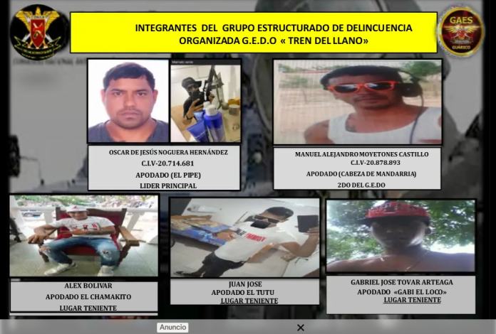 golpe-al-tren-del-llano:-cayo-alias-mandarria,-segundo-al-mando-de-la-organizacion,-en-enfrentamiento-en-guarico