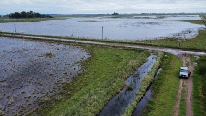 axel-kicillof-declaro-y-prorrogo-la-emergencia-agropecuaria-por-inundaciones-en-mas-de-10-distritos-bonaerenses