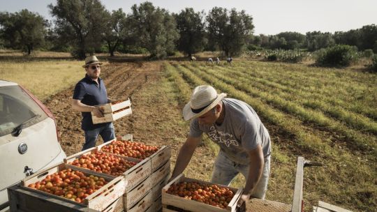 concesiones-de-la-ue:-lo-que-europa-dio-a-los-agricultores-para-respaldar-el-acuerdo-con-mercosur