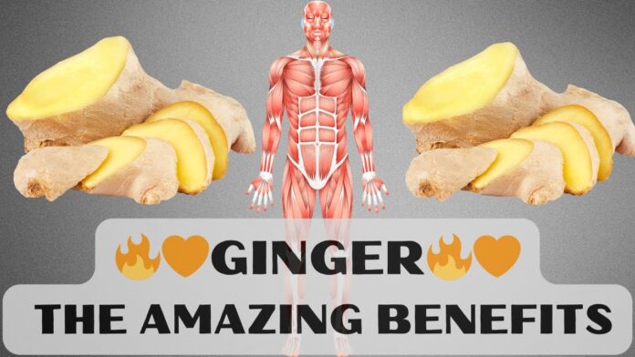 beneficios-para-la-salud-del-jengibre