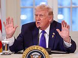 trump-blocks-cooperation-with-‘crooked’-minnesota-officials-in-ice-shooting-investigation
