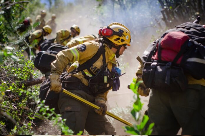 patagonia-wildfires:-rain-helps-control-the-flames-and-brings-relief-to-firefighters