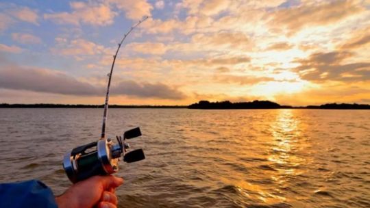 licencias-de-pesca-sin-fronteras:-chaco,-corrientes,-santa-fe-y-entre-rios-unifican-criterios