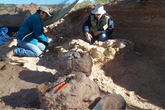 argentine-scientists-discover-giant-new-dinosaur-in-neuquen