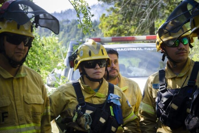wildfires-in-patagonia-reignite:-13,000-hectares-have-been-lost-in-chubut