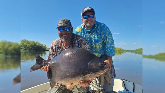 una-captura-para-la-historia:-pacu-de-13-kilos-en-las-aguas-de-esquina