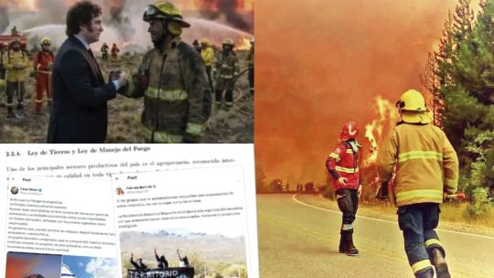 los-incendios-forestales-de-la-patagonia-se-convierten-en-armas-de-desinformacion
