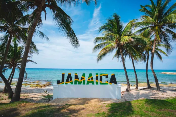 jamaica-apuesta-por-la-tecnologia:-el-boom-de-las-startups-detras-de-las-playas
