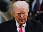 trump’s-election-fraud-claims-shattered-as-dhs-comes-up-empty-and-blue-states-block-kristi-noem-probe