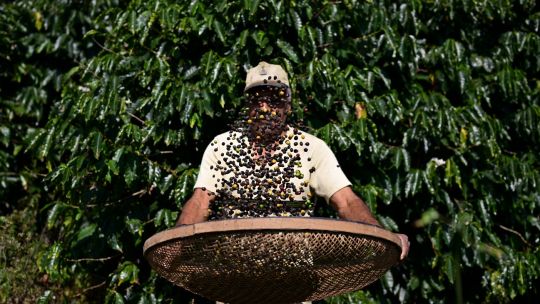 en-que-se-diferencian-la-ue-y-brasil,-potencia-agricola-del-mercosur,-en-materia-de-pesticidas