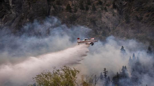 gobernador-de-chubut-exige-‘ley-de-ecocidio’-con-severas-penas-para-incendiarios-forestales