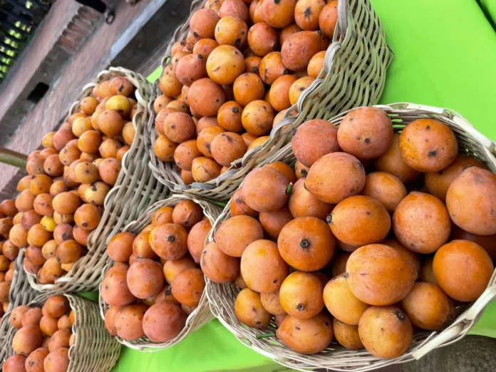 porongo-endulzara-este-‘finde’-con-su-feria-del-achachairu