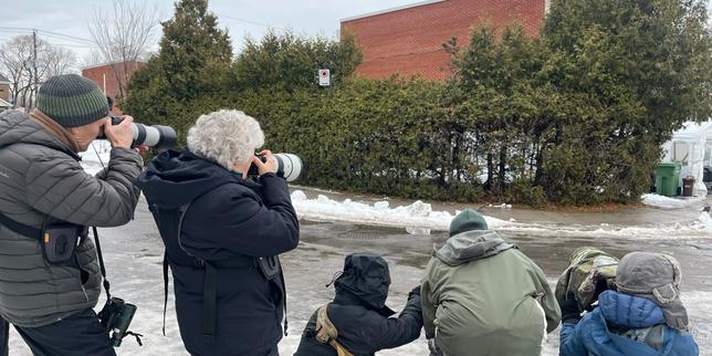 en-montreal,-la-presencia-de-un-desfiladero-rojo-en-el-lugar-de-europa-es-tono-y-atuendo-de-las-faltas