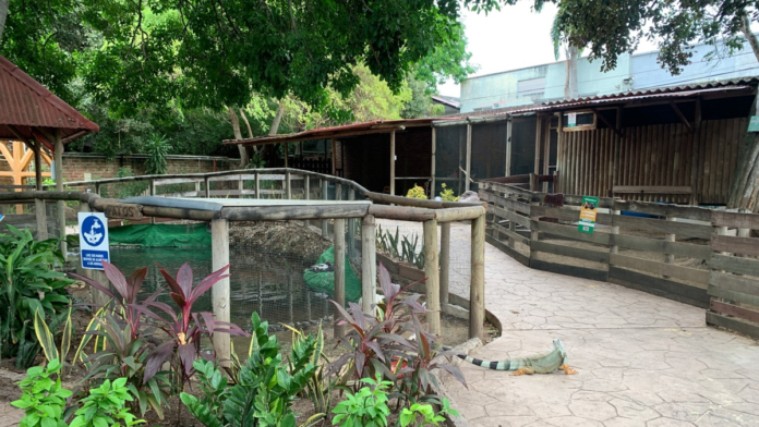 predio-de-argos-surge-como-alternativa-real-para-reubicar-el-zoologico-de-barranquilla-y-articularlo-al-gran-eje-ambiental-del-rio-magdalena.