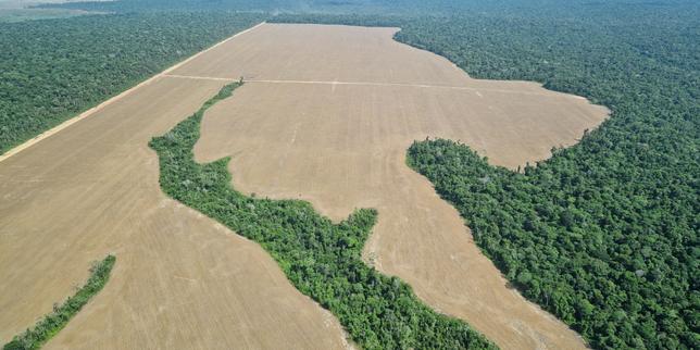 en-brasil,-el-acuerdo-ue-mercosur-se-traduire-par-une-«avancee-de-l’agriculture-sur-des-surfaces-non-exploitees,-notamment-en-amazonie»