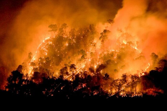 19-dead-and-50,000-evacuated-as-wildfires-spread-through-south-central-chile