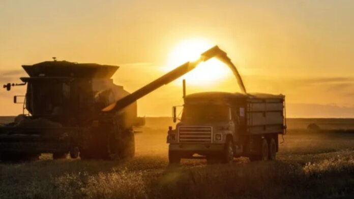 argentina-records-trade-surplus-of-us$11-billion-in-2025,-despite-imports-jumping-25%