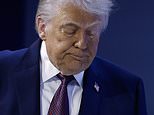 white-house-explains-bruise-on-trump’s-hand