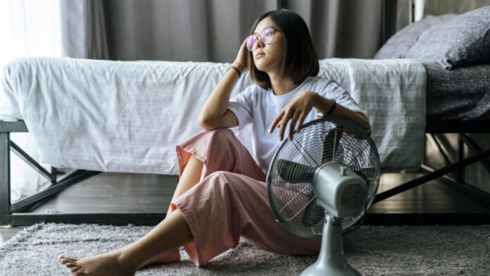 cuanto-sale-un-buen-ventilador-en-enero-2026:-alternativas,-costos-y-caracteristicas