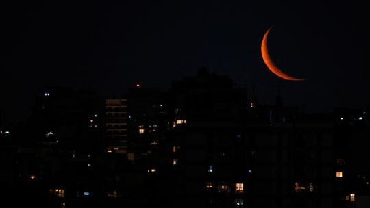 historias-que-nos-llamaron-la-atencion:-del-16-al-23-de-enero