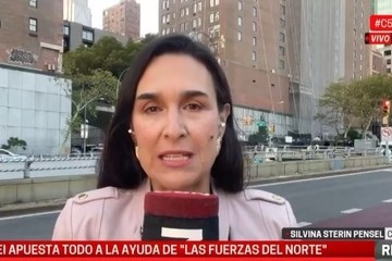 c5n-echo-a-la-periodista-silvina-sterin-pensel-por-criticar-a-israel