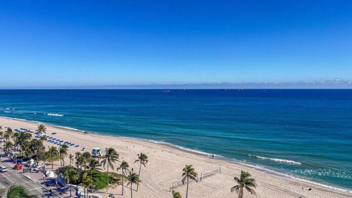 las-5-actividades-gratuitas-para-hacer-en-miami-sin-gastar-un-solo-dolar
