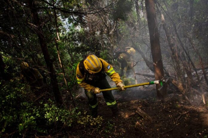 wildfires-in-patagonia-reignite,-destroying-over-35,000-hectares