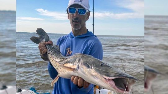 explosion-de-dorados,-surubies-y-bogas:-una-jornada-inolvidable-frente-a-buenos-aires