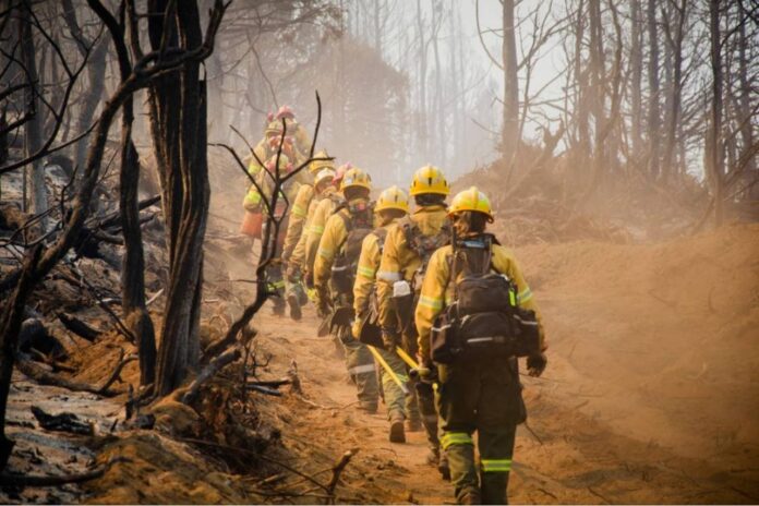 argentine-government-declares-state-of-emergency-over-patagonia-wildfires