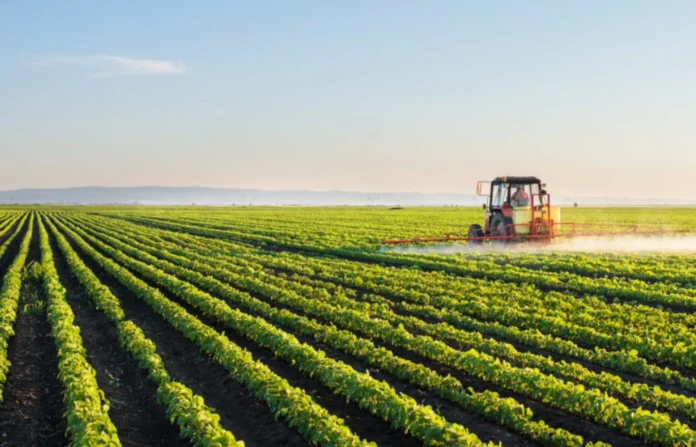 las-granjas-de-brasil-estan-en-auge;-sus-agricultores-estan-quebrando