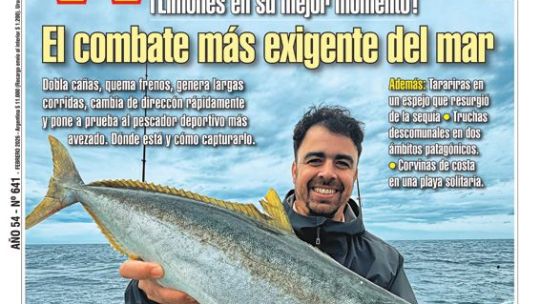 un-febrero-amarillo,-a-puro-limon,-en-tu-revista-weekend!